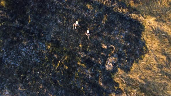 Two Firefighters Walk on Black Scorched Earth After Fire and Burning Dry Grass