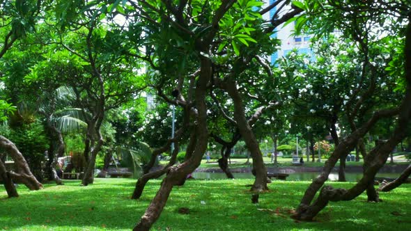 Lumphini Park in Bangkok Thailand