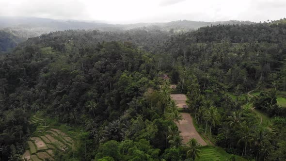 Aerial Drone View of Jungle in Bali