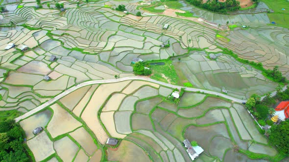 Aerial video of drones flying over rice terraces 