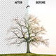Background Remover Photoshop Action - GraphicRiver Item for Sale