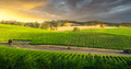 Vineyard Vista - PhotoDune Item for Sale
