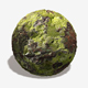Rock Moss Seamless Texture - 3DOcean Item for Sale