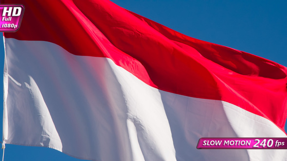 Flag Of Indonesia Waving On Sun