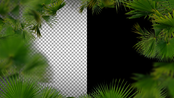 Travel Frame And Transitions alt