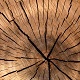 Wood Object Set