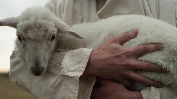 Shepherd Holding Sheep