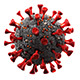 Coronavirus SARS-CoV-2 - 3DOcean Item for Sale