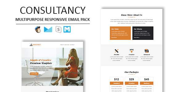 Consultancy Responsive Email Template with mailchimp editor access