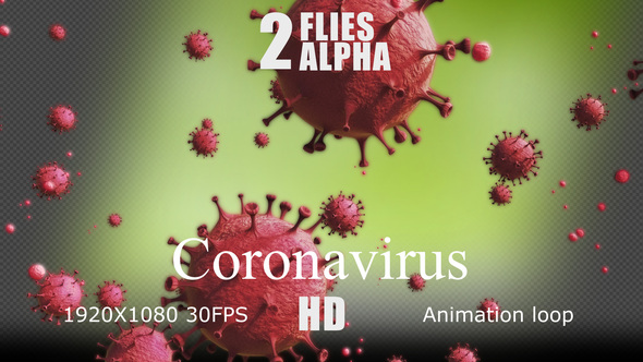 Coronavirus