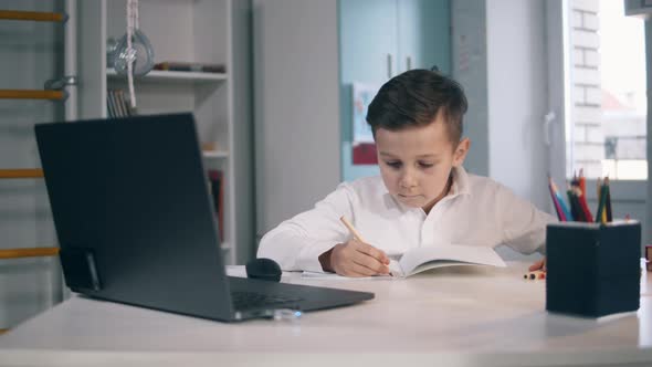 Little Kid Studying Online Using His Laptop