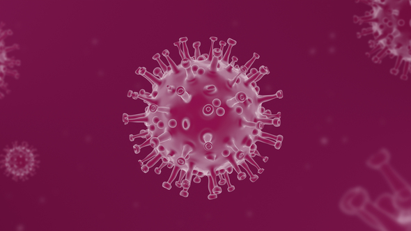 Coronavirus ( Covid – 19 ) Looped Background  - Pink alt