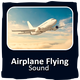 Airplane Flying Over Sound