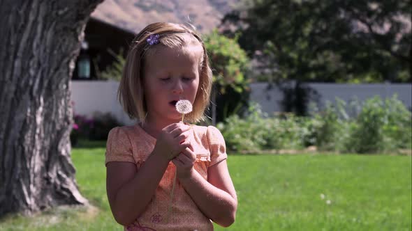 Handheld shot of a little girl blowing on a dandelion in slow motion