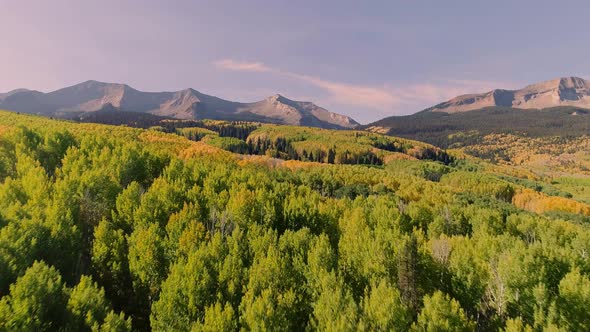 Aspens turning on Kebler Pass, Colorado