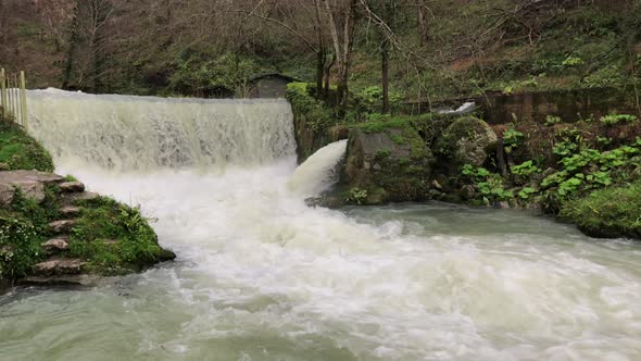 Water Falls in a River Stream in Forest