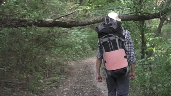 A Tourist Walks Through a Dense Green Forest
