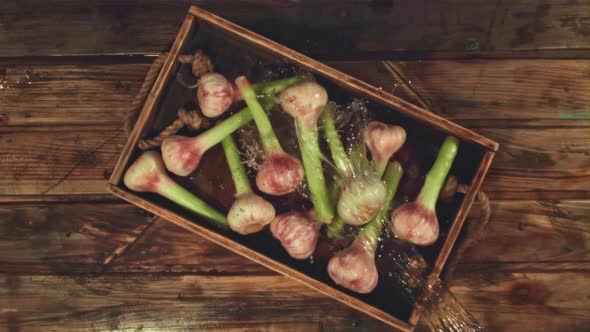 Super Slow Motion on Garlic Pours Water on a Wooden Background