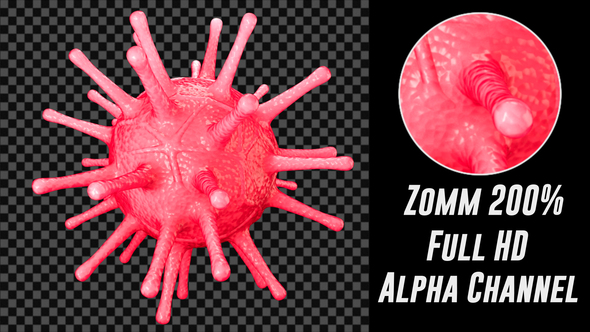 Coronavirus Covid 19 Loop alt