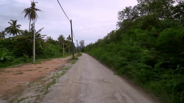 POV drive on the nature road