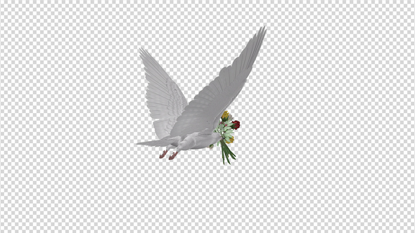 Dove with Bouquet - 4K Flying Cycle - Back Angle alt