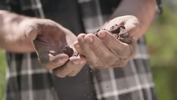 The worn-out hands of the gardener, the farmer's dirty hands. Dry soil in the hands, drought.