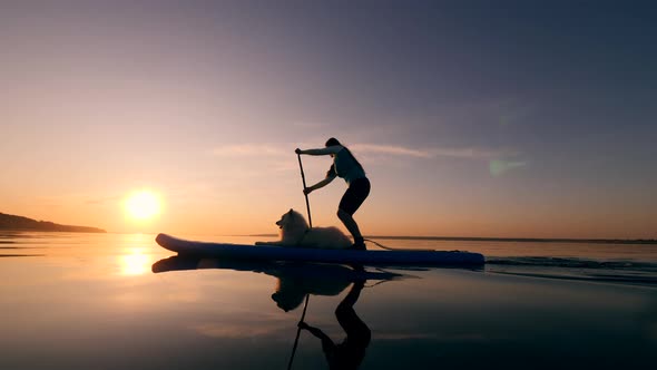 Sports Girl and Her Dog Paddle boarding on a Sunset Background