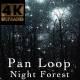 Night Forest V2 Pan - VideoHive Item for Sale