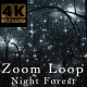 Night Forest V3 Zoom - VideoHive Item for Sale