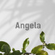 Angela Minimal Presentation Template - GraphicRiver Item for Sale