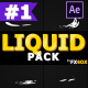 Dynamic Liquid Elements | After Effects - VideoHive Item for Sale