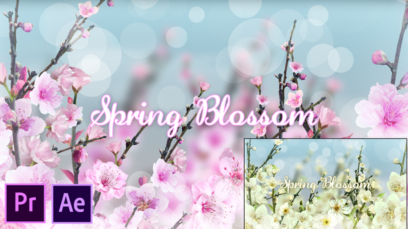 Spring Blossom - Premiere Pro