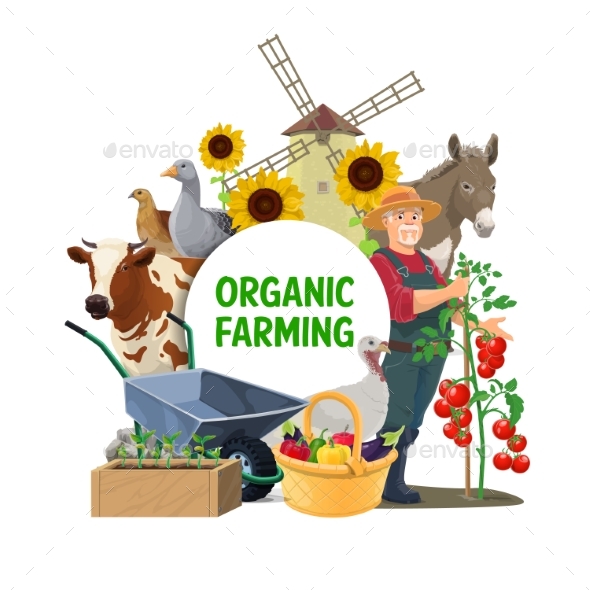 Farmer Farm Animals and Garden Vegetables