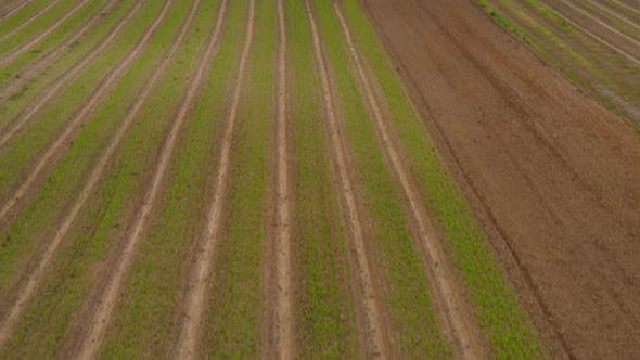 Aerial Tilt Up of Agricultural Fields and Farm Land in Long Island New York