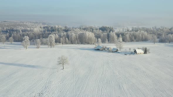 Winter Morning