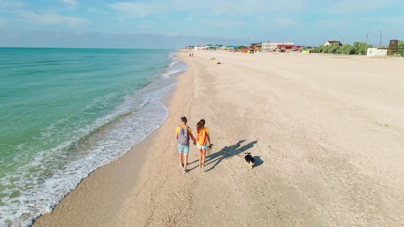 Drone Following Lovely Couple with Cute Welsh Corgi Dog Walking Along Empty Sand Beach