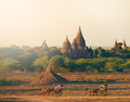 Bagan Myanmar Horse Buggies and Buddhist temples - PhotoDune Item for Sale