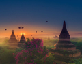 Bagan Myanmar Hot air balloons flying over stupas at Sunrise - PhotoDune Item for Sale