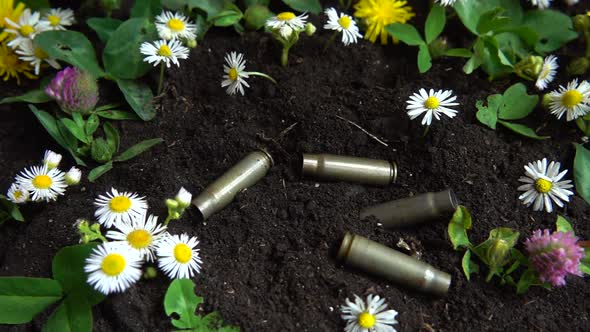 Bullet casings fall to the ground and chamomile flowers. Slow motion. alt