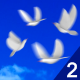Flying Doves 2 - VideoHive Item for Sale