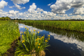 Beautiful rural landscape with river and flowers - PhotoDune Item for Sale