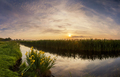 Beautiful evening landscape with the river and flowers. - PhotoDune Item for Sale