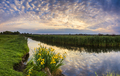 Beautiful evening landscape with the river and flowers. - PhotoDune Item for Sale