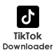 TikTok Video Downloader without Watermark - WordPress Plugin - CodeCanyon Item for Sale