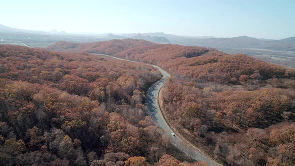 Aerial Shot of Cars Driving on a Highway Road in Between Autumn Forest Fall Season