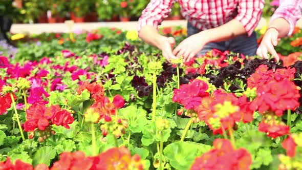 Garderners Working at Nursery