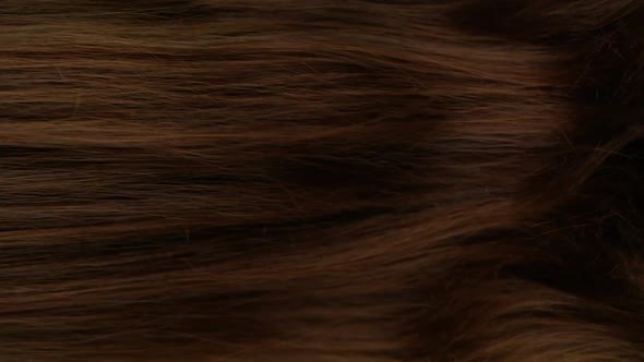 Slow motion of close-up of beautiful long smooth straight brown hair extension texture.