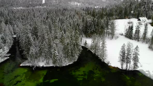 Beautiful view on an Lake with Forest in Schiederweiher in Upper Austria Drone Video