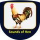 Sounds of Hen