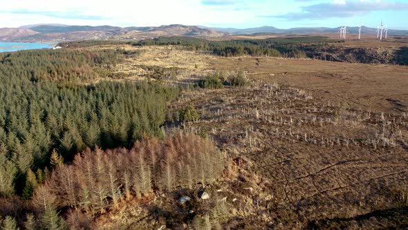 Aerial View of Forest That Has Been Burning in a Wildfire a Few Years Ago